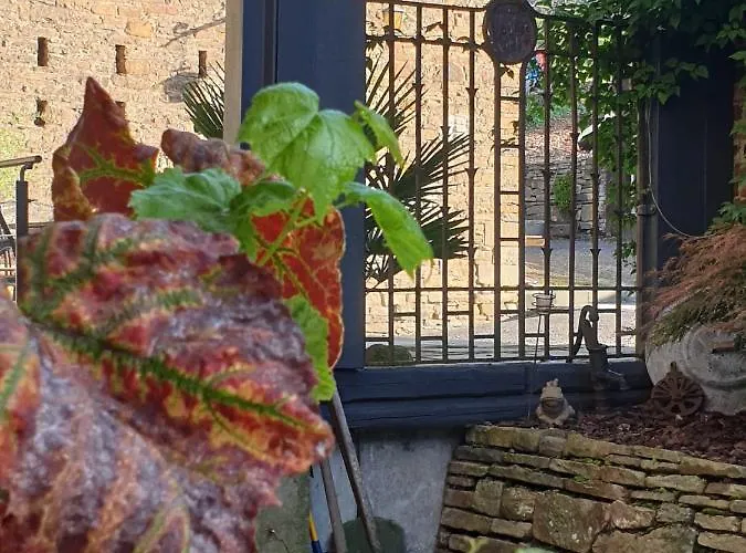 Gederbach Appartement Witten